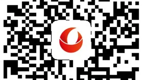 习近平主席赴印度出席金砖国家领导人第十八次会晤前瞻